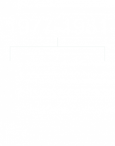 1977-1981