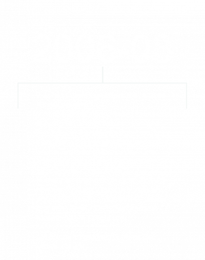 2006-08